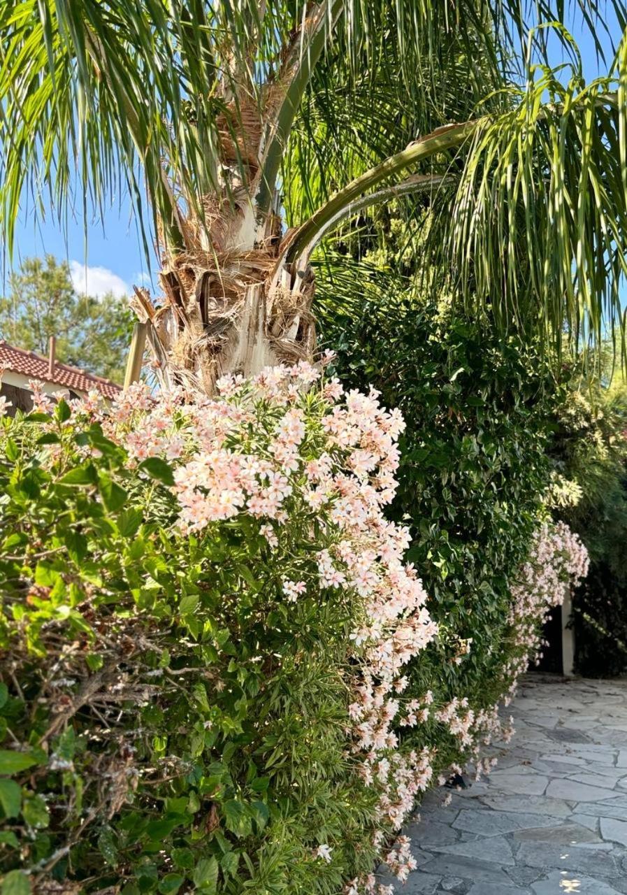 Le Caroubier Splendid 3 Bedrooms Bungalow Zanaja المظهر الخارجي الصورة